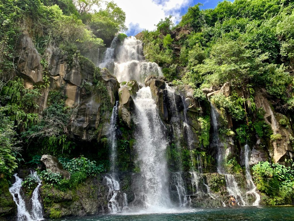 La Réunion, une île et ses espèces endémiques : un voyage écologique
