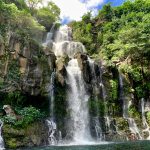 La Réunion, une île et ses espèces endémiques : un voyage écologique