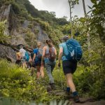 Randonnées incontournables en Martinique : à la découverte des trésors naturels de l’île