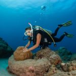 Mayotte sous-marine : exploration des plus beaux spots de plongée de l'île