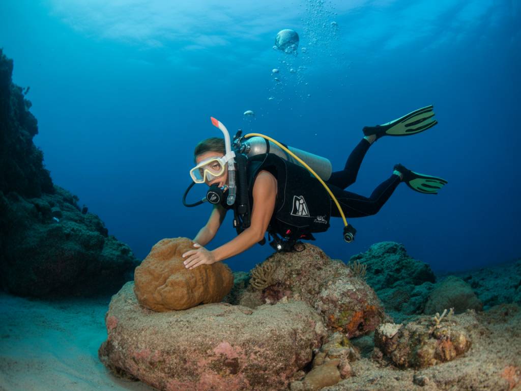 Mayotte sous-marine : exploration des plus beaux spots de plongée de l'île