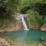 Les plus belles cascades de Guadeloupe : itinéraires, légendes et conseils pour les explorer