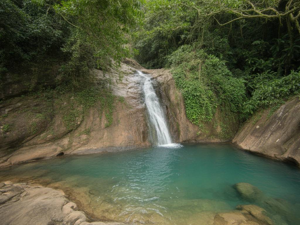 Les plus belles cascades de Guadeloupe : itinéraires, légendes et conseils pour les explorer