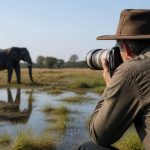 Botswana photo safari : conseils pour réussir vos clichés en pleine nature